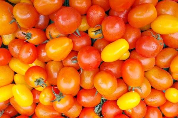 Cherry Tomaten Mix